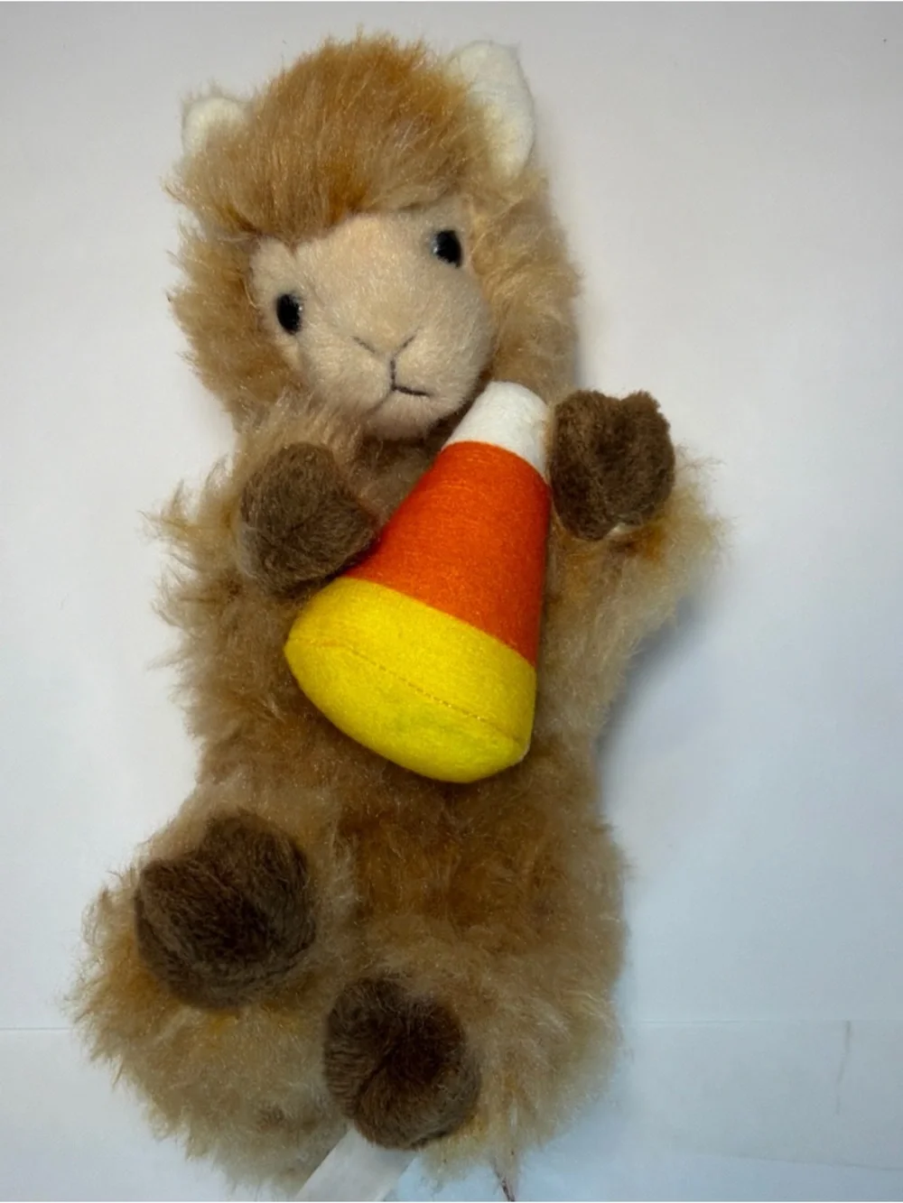 Douglas rare alpaca